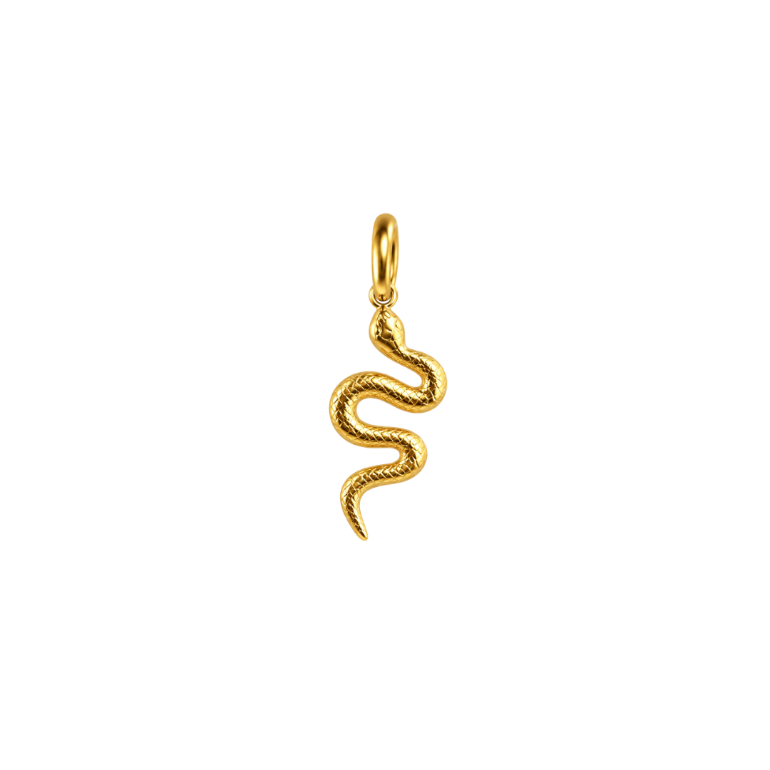 SERPENT Charm